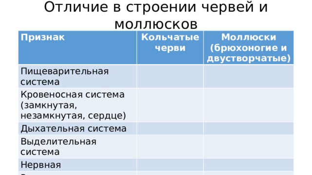 Сходства и различия моллюсков