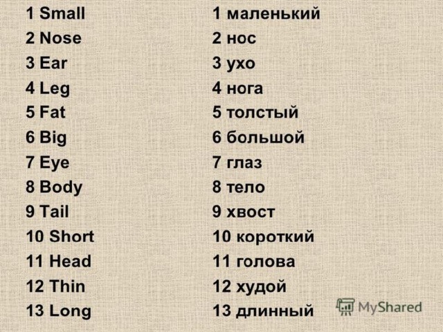 Презентация 9 класс спотлайт 5 а