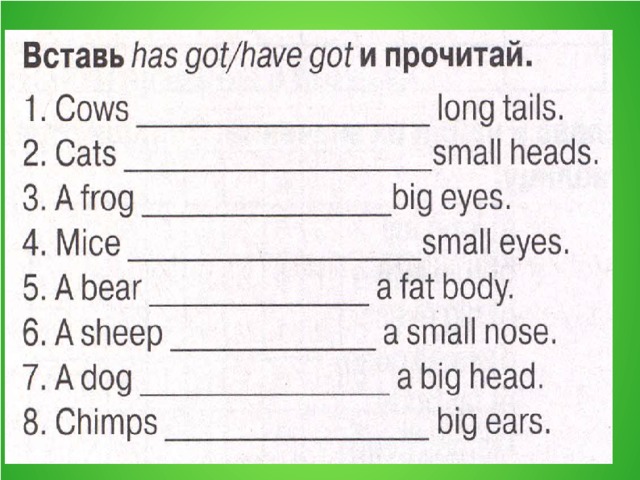 The verb to have упражнения