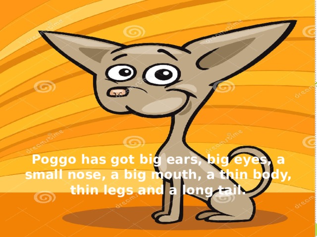 This is poggo look and