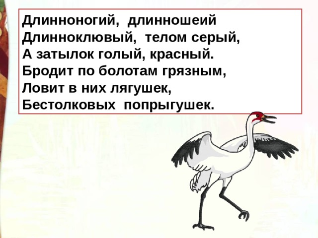 Длинноногий, длинношеий Длинноклювый, телом серый, А затылок голый, красный. Бродит по болотам грязным, Ловит в них лягушек, Бестолковых попрыгушек. 