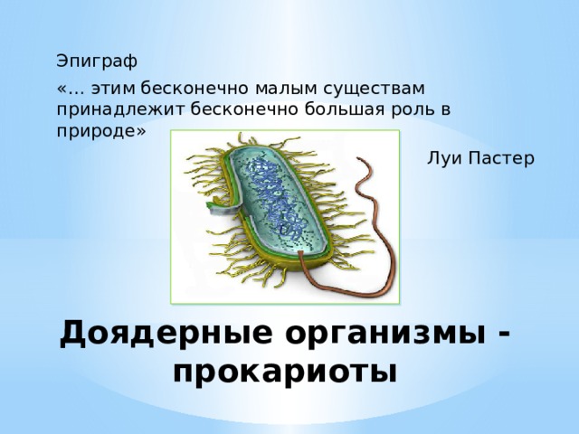 Бактерии доядерные организмы презентация 7 класс биология. Презентация бактерии и доядерные организмы. Бактерии доядерные организмы 7 класс. Доядерные организмы прокариоты. К доядерным организмам (прокариотам) относят.
