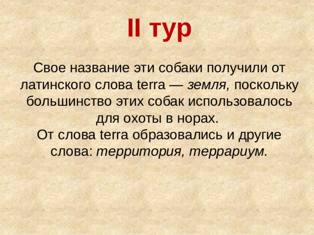 II тур Свое название эти собаки получили от латинского слова terra — земля, поскольку большинство этих собак использовалось для охоты в норах. От слова terra образовались и другие слова: территория, террариум.