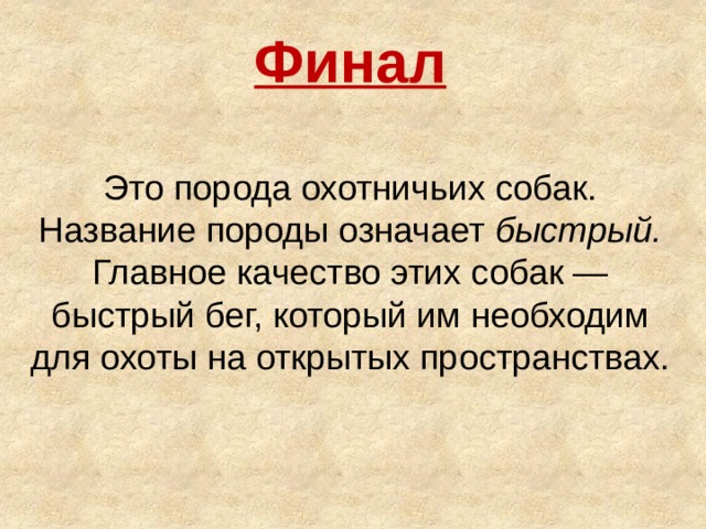 Финал  Это порода охотничьих собак. Название породы означает быстрый. Главное качество этих собак — быстрый бег, который им необходим для охоты на открытых пространствах.