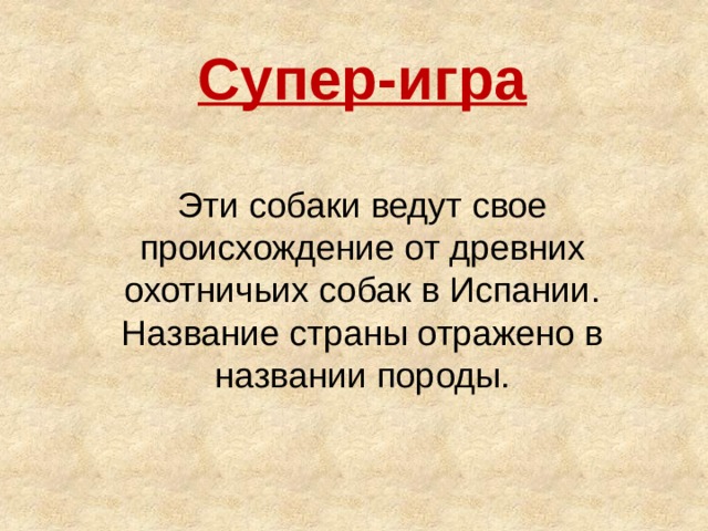 Супер-игра  Эти собаки ведут свое происхождение от древних охотничьих собак в Испании. Название страны отражено в названии породы.
