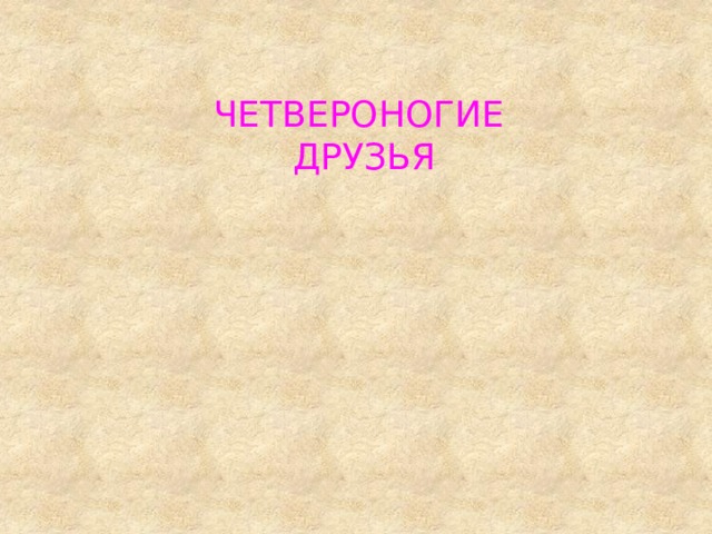 ЧЕТВЕРОНОГИЕ ДРУЗЬЯ