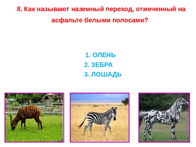   8. Как называют наземный переход, отмеченный на асфальте белыми полосами?         1. ОЛЕНЬ  2. ЗЕБРА  3. ЛОШАДЬ 