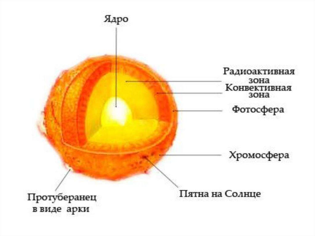 Расположите элементы композиции в верной последовательности Shtampik.com