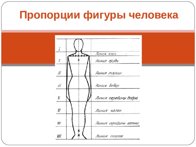 Соотношение фигуры. Пропорции фигуры и прически. Пропорции фигуры по Жану кузену. Пропорции фигуры с сапогами.