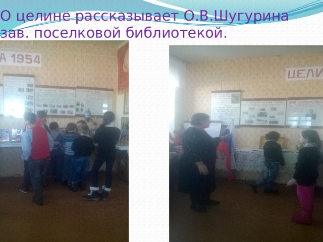 О целине рассказывает О.В.Шугурина зав. поселковой библиотекой. 