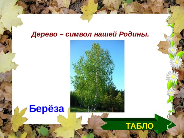 Дерево – символ нашей Родины. Берёза ТАБЛО  