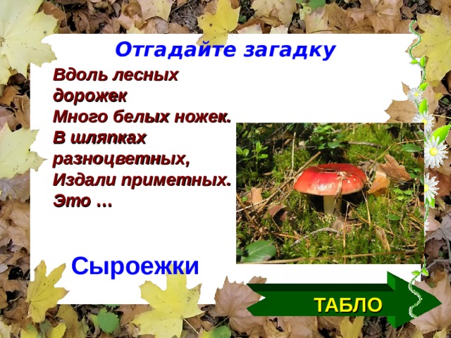 Отгадайте загадку Вдоль лесных дорожек Много белых ножек. В шляпках разноцветных, Издали приметных. Это … Сыроежки ТАБЛО  