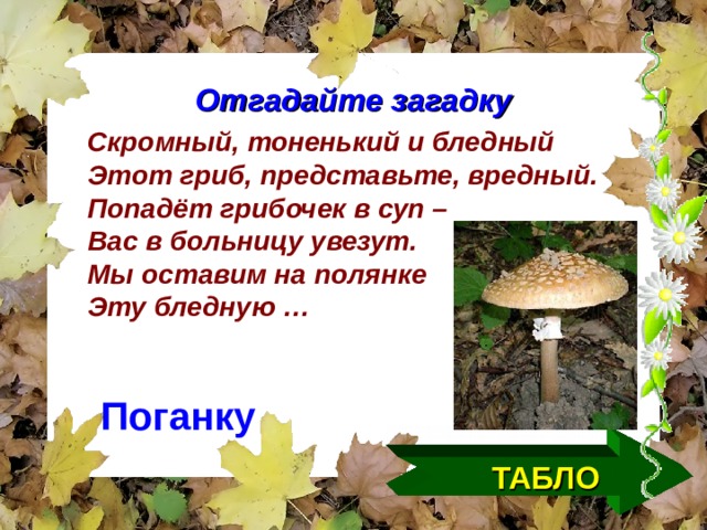 Отгадайте загадку Скромный, тоненький и бледный Этот гриб, представьте, вредный. Попадёт грибочек в суп – Вас в больницу увезут. Мы оставим на полянке Эту бледную … Поганку ТАБЛО  
