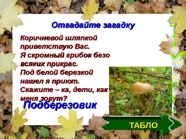Отгадайте загадку Коричневой шляпкой приветствую Вас. Я скромный грибок безо всяких прикрас. Под белой березкой нашел я приют. Скажите – ка, дети, как меня зовут? Подберезовик ТАБЛО  
