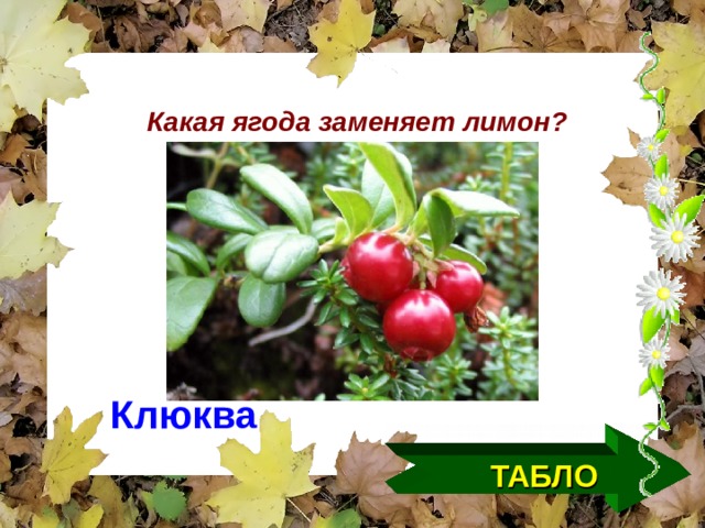   Какая ягода заменяет лимон?   Клюква ТАБЛО  