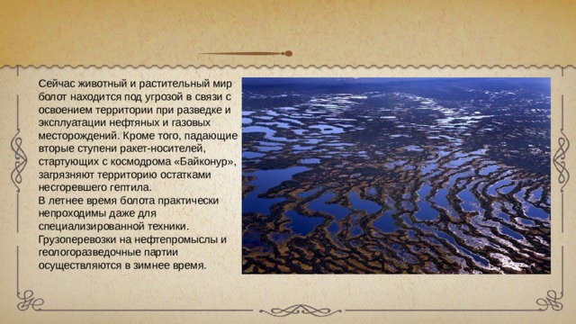 Сейчас животный и растительный мир болот находится под угрозой в связи с освоением территории при разведке и эксплуатации нефтяных и газовых месторождений. Кроме того, падающие вторые ступени ракет-носителей, стартующих с космодрома «Байконур», загрязняют территорию остатками несгоревшего гептила. В летнее время болота практически непроходимы даже для специализированной техники. Грузоперевозки на нефтепромыслы и геологоразведочные партии осуществляются в зимнее время. 