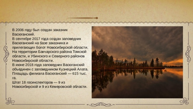 В 2006 году был создан заказник Васюганский. В сентябре 2017 года создан заповедник Васюганский на базе заказника и прилегающих болот Новосибирской области. На территории Бакчарского района Томской области, и Убинского и Северного районов Новосибирской области. В июне 2018 года заповедник Васюганский объединен с заповедником Кузнецкий Алата. Площадь филиала Васюганский — 615 тыс. га. Штат 18 госинспекторов — 9 из Новосибирской и 9 из Кемеровской области. 