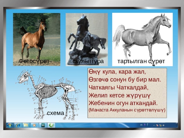 Фотосүрөт тартылган сүрөт скульптура Өңү кула, кара жал, Өзгөчө сонун бу бир мал. Чаткаягы Чаткалдай, Желип кетсе жүрүшү Жебенин огун аткандай. (Манаста Аккуланын сүрөттөлүшү) схема 