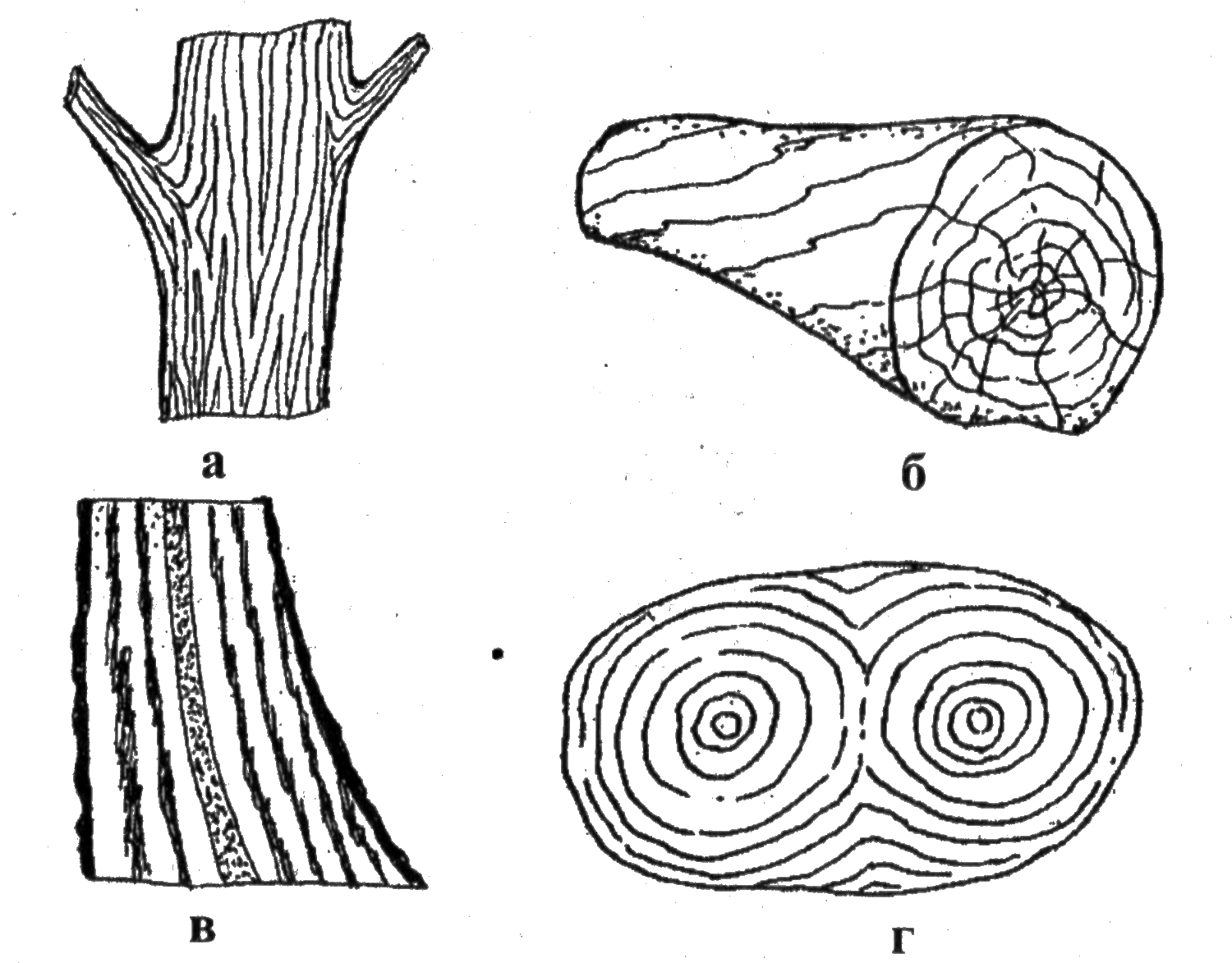 Рисунок поверхности древесины