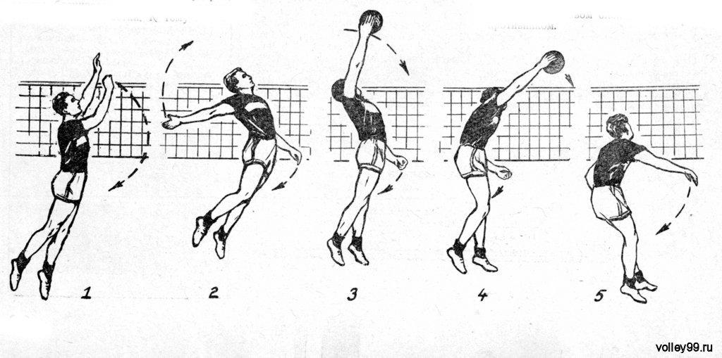Планирующая подача в волейболе картинка