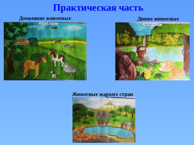 Практическая часть Домашние животные Дикие животные Животные жарких стран 