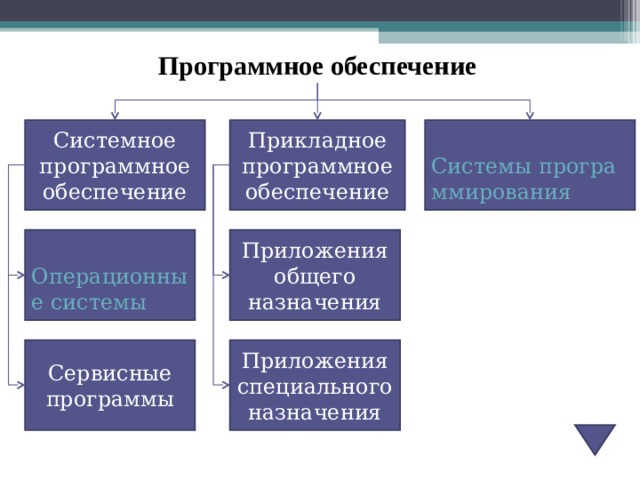 Прикладное программное обеспечение делится на