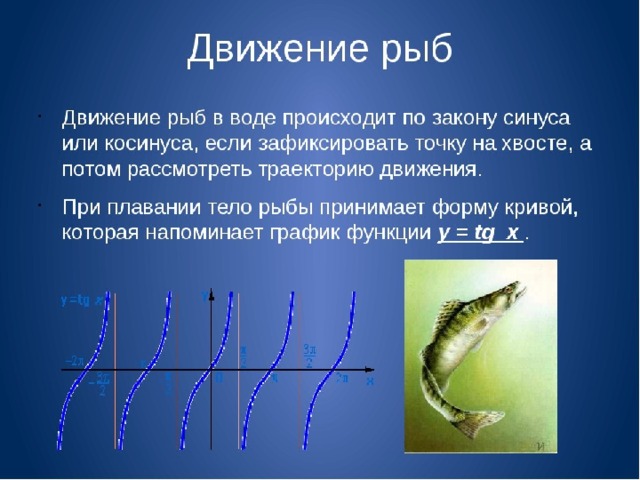 Презентация тригонометрия в физике