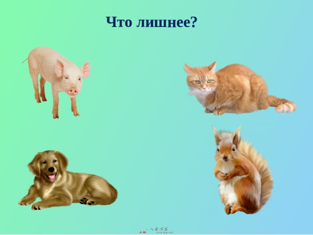 Что лишнее? 