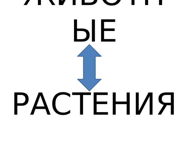 ЖИВОТНЫЕ РАСТЕНИЯ   