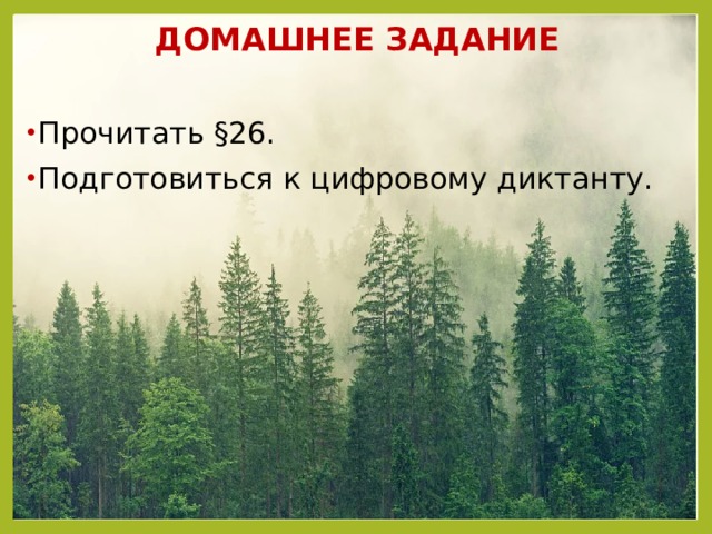 ДОМАШНЕЕ ЗАДАНИЕ  Прочитать §26. Подготовиться к цифровому диктанту. 