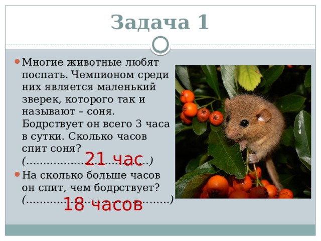 Кот васька спит в декабре ровно 3 недели сколько минут он в декабре бодрствует