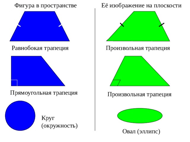 Её изображение на плоскости Фигура в пространстве Равнобокая трапеция Произвольная трапеция Прямоугольная трапеция Произвольная трапеция Круг (окружность) Овал (эллипс) 