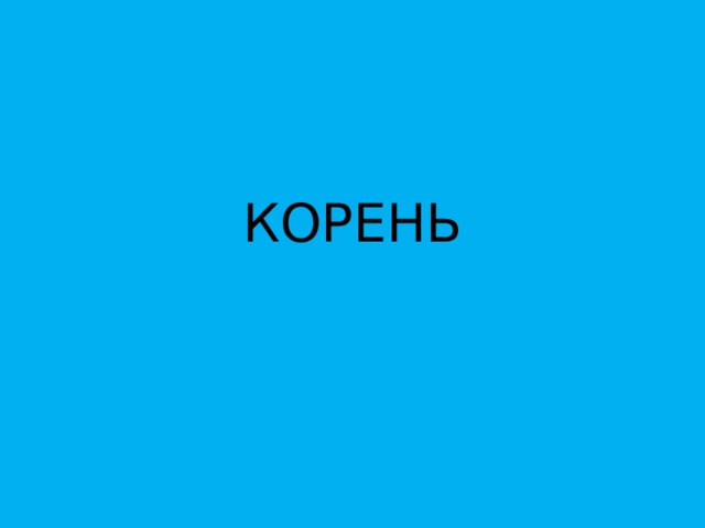 КОРЕНЬ 