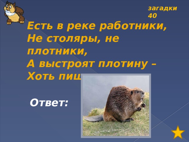 Есть в реке работники не столяры не плотники а выстроят плотину хоть пиши картину