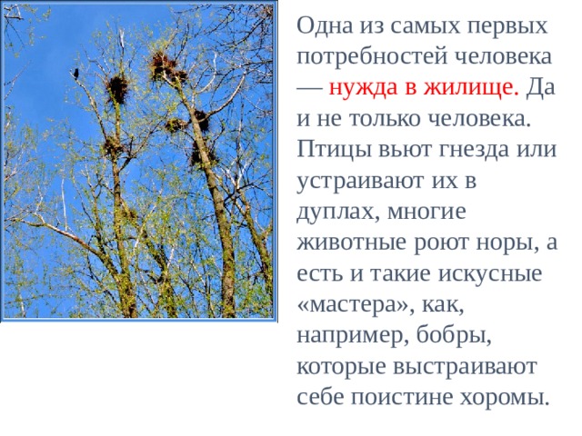 Одна из самых первых потребностей человека — нужда в жилище. Да и не только человека. Птицы вьют гнезда или устраивают их в дуплах, многие животные роют норы, а есть и такие искусные «мастера», как, например, бобры, которые выстраивают себе поистине хоромы. 