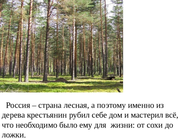  Россия – страна лесная, а поэтому именно из дерева крестьянин рубил себе дом и мастерил всё, что необходимо было ему для жизни: от сохи до ложки. 