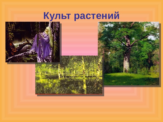 Культ растений 