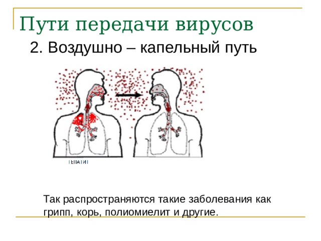 2. Воздушно – капельный путь Так распространяются такие заболевания как грипп, корь, полиомиелит и другие. 