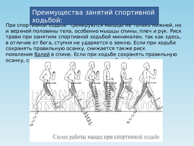 ����������� ��������� Vermoje ���������: ����.