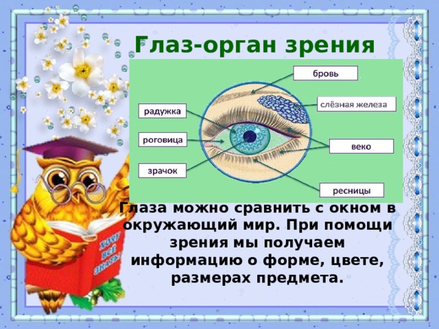 Конспект с презентацией урока органы чувств 3 класс с презентацией