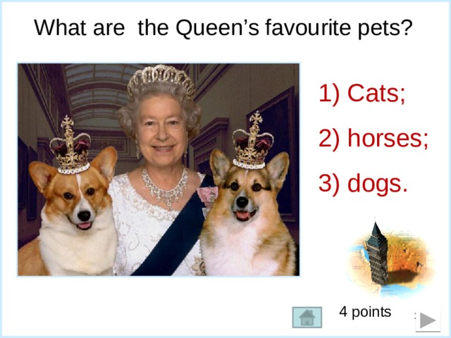 What are the Queen’s favourite pets?  Cats;  horses;  dogs. 4 points  