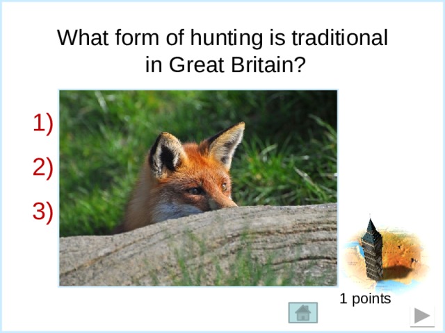 What form of hunting is traditional  in Great Britain?  Bear-hunting;  hare-hunting;  fox-hunting. 1 points 
