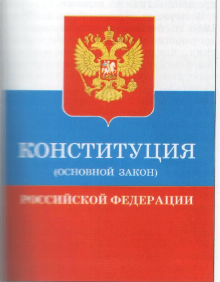 Конституция рф 1993 картинки