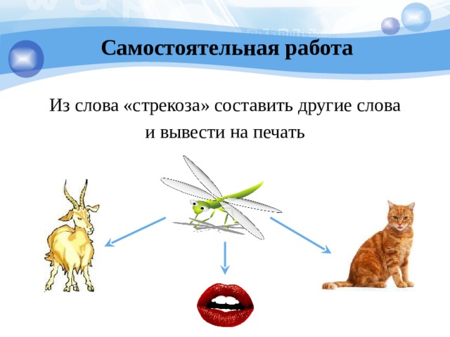 Составить схему слова стрекоза для 1 класса ответы