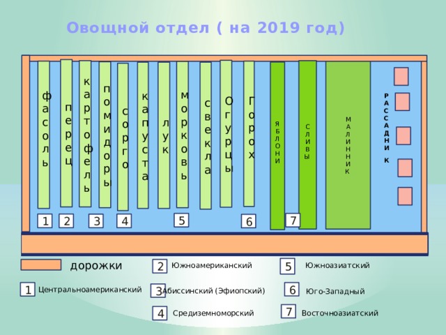 План учебно опытного участка