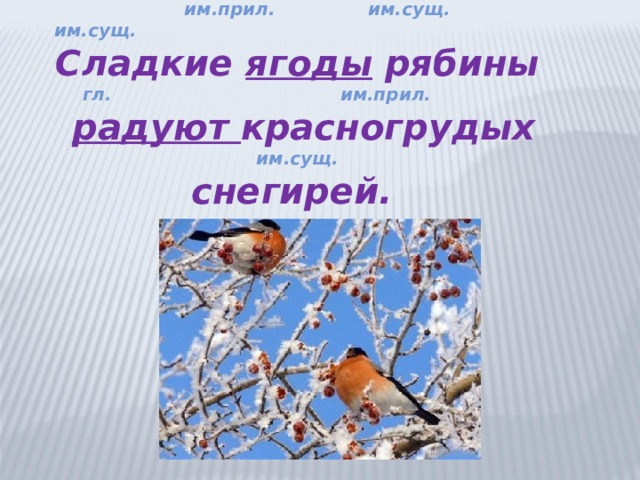  им.прил. им.сущ. им.сущ. Сладкие ягоды рябины гл. им.прил.  радуют красногрудых им.сущ. снегирей.  