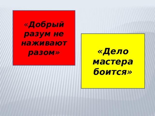 « Добрый разум не наживают разом» «Дело мастера боится» 