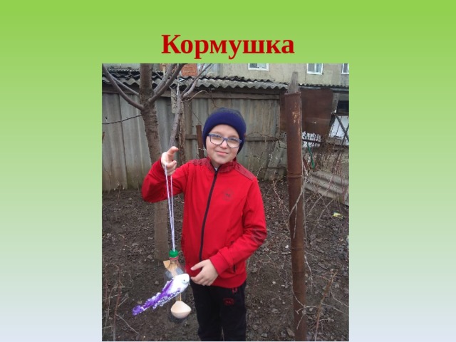Кормушка 