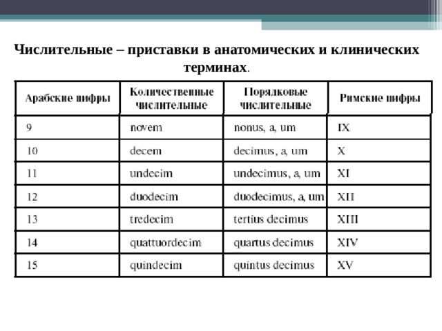 Содержащий на латинском. Приставки числительные в латинском языке таблица. Греческие числительные приставки химической номенклатуры латынь. Числительные латинские и греческие числительные-приставки. Латинские и греческие числительные приставки.