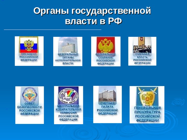 Органы государственной власти в РФ 